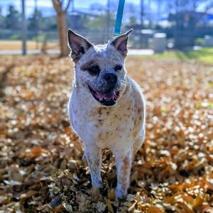 Meet your Posher, Jax